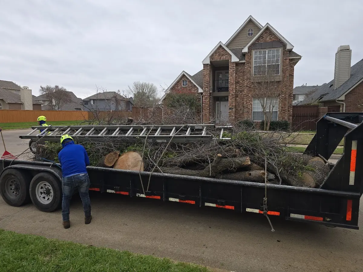 Expert Lot Clearing with proper safety equipment in Easton
